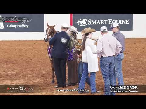 2025 Amateur Weanling Fillies World Champion - YouTube