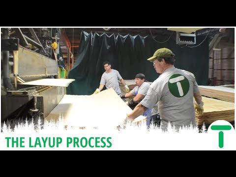 Hardwood Plywood Series - The Layup Process