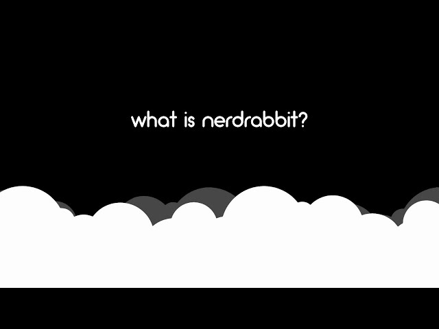 About NerdRabbit