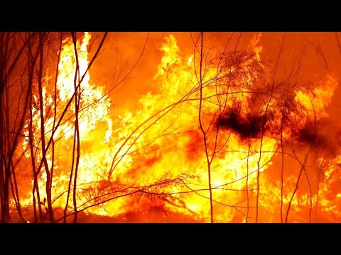 'Fire Fight Australia' fundraiser concert underway