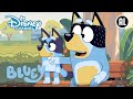 Bluey | ? Niet Opgeven, maar Doorzetten! | Disney Channel NL