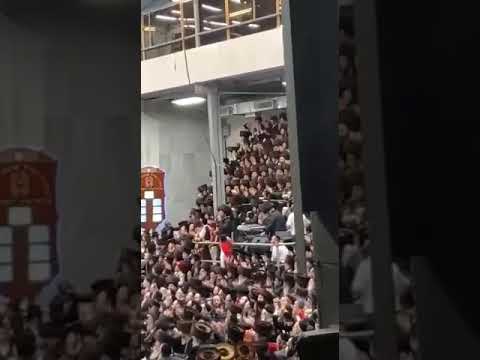 Purim 5780 With Viznitz Rebbe