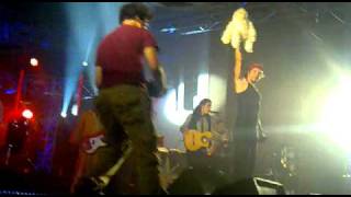 macaco en almunia - monkey man