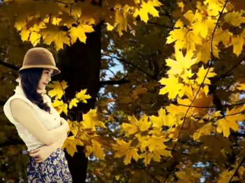 Nỗi buồn thiên thu Sheet - Thùy An