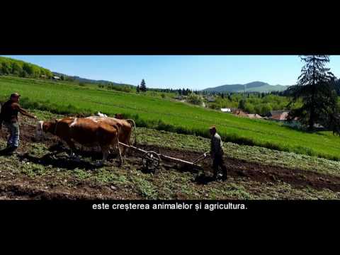 Biking in Romania, Izvoru Muresului - 4K