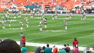 Miami Dolphins Cheerleaders, Dolphins vs Jaguars