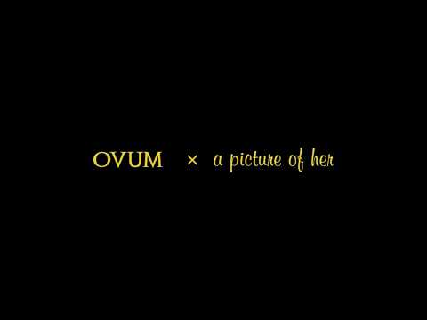 OVUM × a picture of her Split 7 inch vinyl