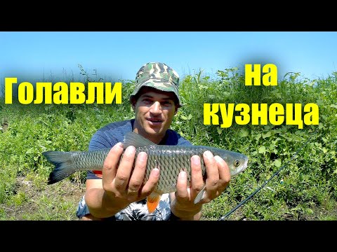 Фото Голавли без ума от этой наживки в конце июня! Клюет на каждой проводке! Трофейный голавль на кузнеца