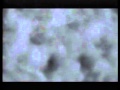Opening To Stargate 1995 Laserdisc