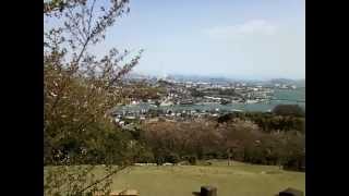 preview picture of video '倉敷市玉島 円通寺公園・桜 (Entsuji Cherry Blossom)'