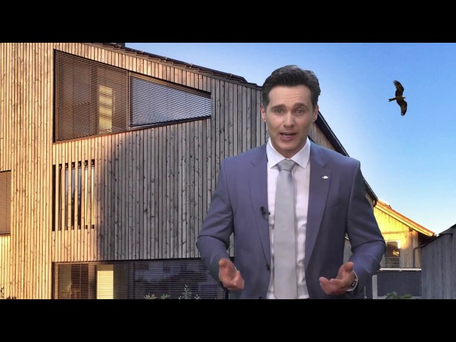 Dachs Berater