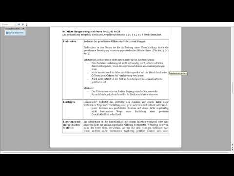 15. Burglary §§ 242 I, 244 I No. 3 StGB