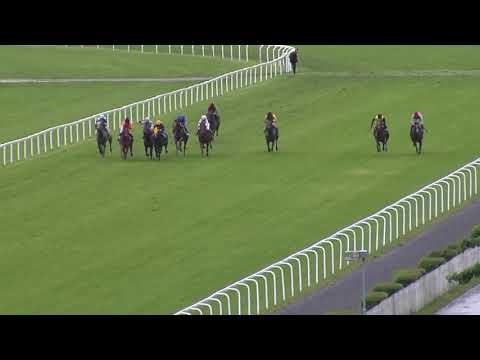 9. dostih - CENA ARNY - dostihy Velká Chuchle 11. 5. 2019