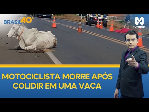 Motociclista morre após colidir em uma vaca em Bonfim do Piauí