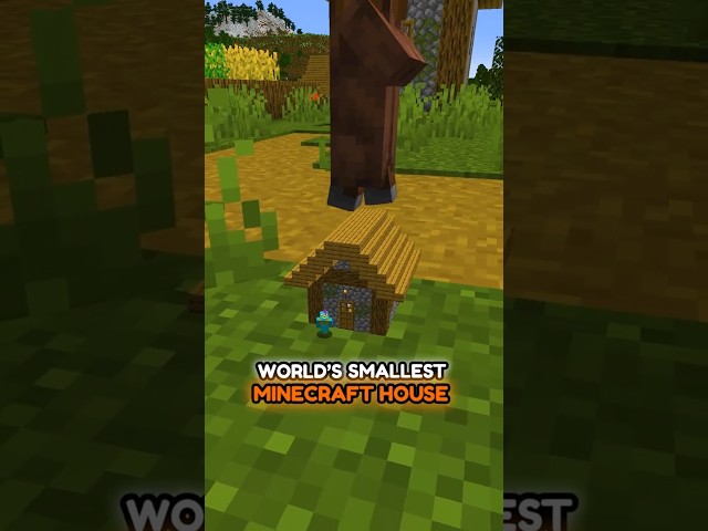Worlds Smallest House On Minecraft