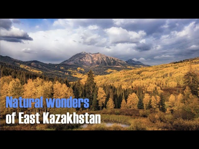 The East Kazakhstan, marals and healing properties of their horns