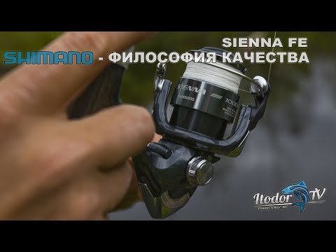 Обновлённая Shimano Sienna