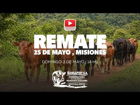REMATE 25 DE MAYO - MISIONES