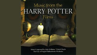 Harry In Winter (From "Harry Potter And The Goblet Of Fire")