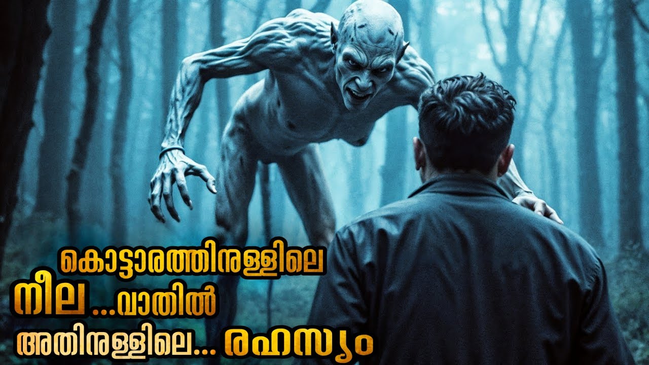 കൊട്ടാരത്തിലെ മാന്ത്രിക വാതിൽ ; അതിനപ്പുറം എന്താണ് #malluexplainer
