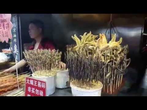 The Impression of Beijing 2016 | AIESEC CUC, China | Part 2