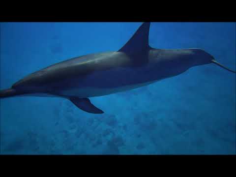 SQNC9   Sandro Mireno   Far Away