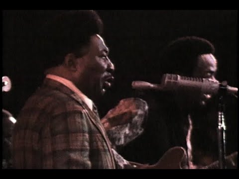 MUDDY WATERS all ablaze singes a college crowd with "Got My Mojo Working" live 1971