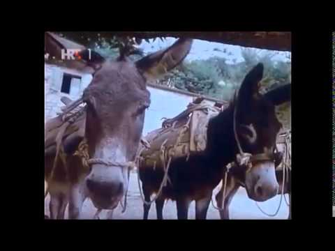 Marko Skelin-Markan(1910-1985)