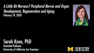 Research Day 2020 Keynote: Sarah Knox, PhD