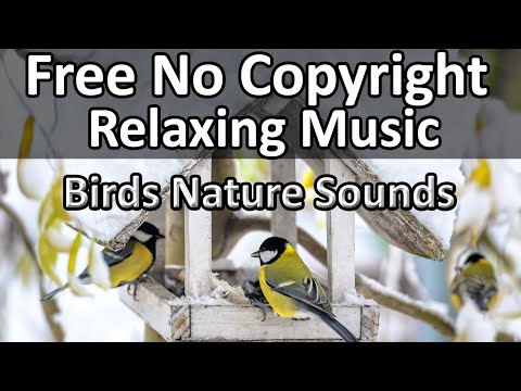 Free No Copyright Relaxing Music With Birds