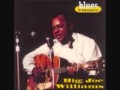 Big Joe Williams- Sugar Mama