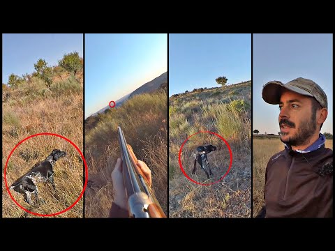 Me declaro ¡𝐂𝐔𝐋𝐏𝐀𝐁𝐋𝐄! si cazando con mi perro ✨SOY FELIZ✨