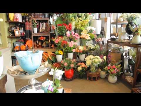 Divine Flowers Brisbane, Luxury Online Florist About us  and Our store