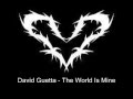 David Guetta The World Is Mine