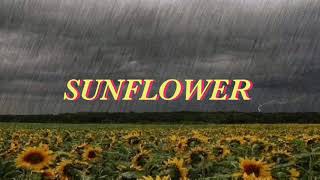 Sunflower -Allie X (LYRIC VIDEO) FROM Sierra Burgess Is A Loser 🌻🌹