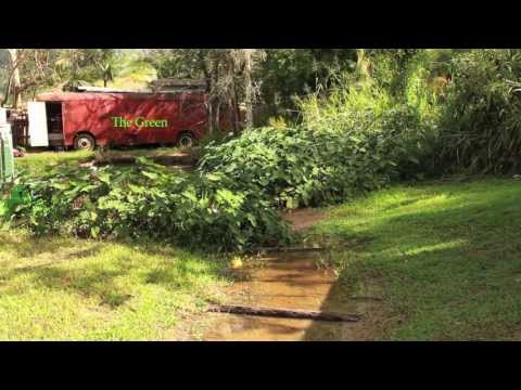 Between the Green and Blue