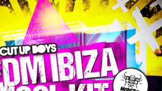 The Cut Up Boys - EDM Ibiza Tool Kit - Monster Sounds Samples