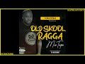 BEST THROWBACK RAGGA DANCEHALL HITS MIX 2021 DJ BLESSING FT TOK SHAGGY SEAN PAUL BENNIE MAN