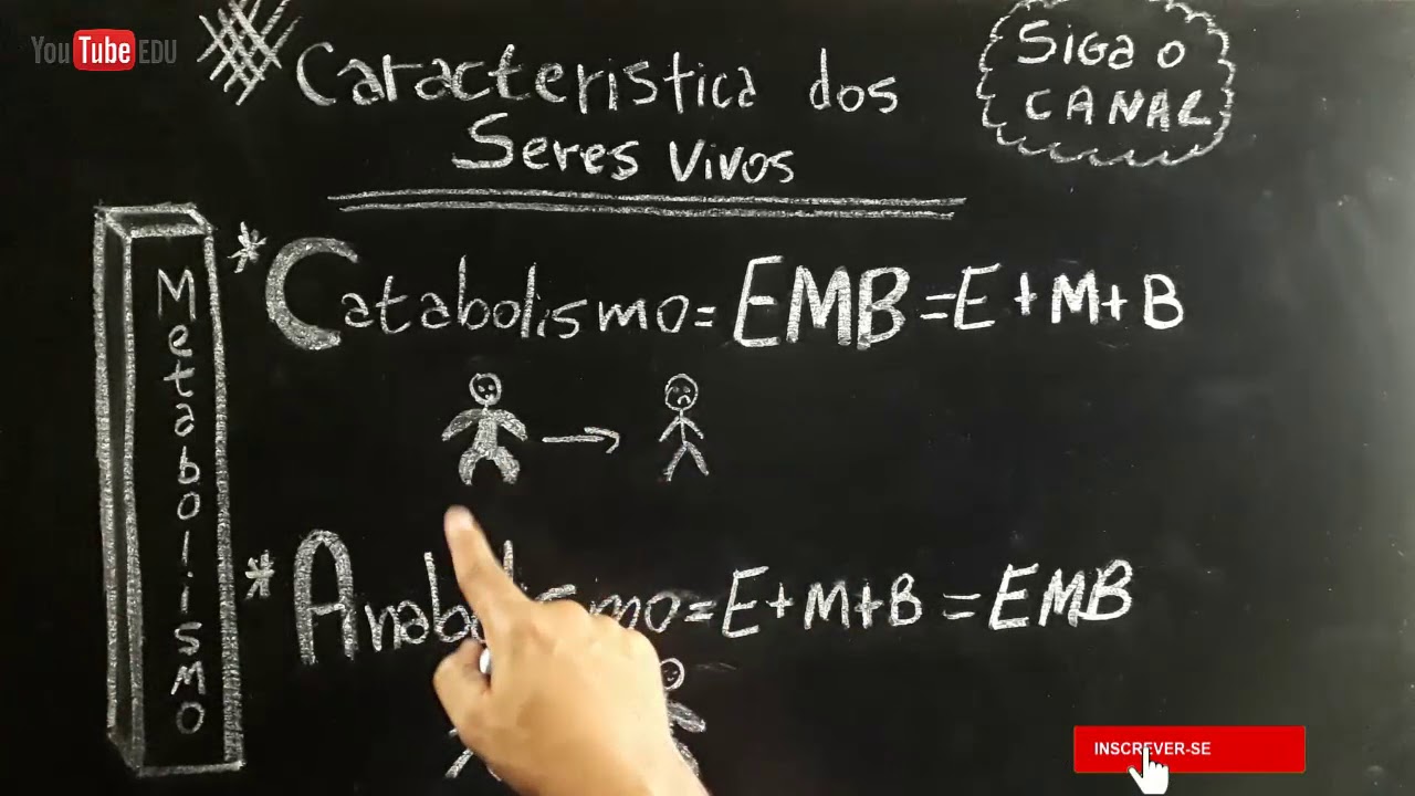 METABOLISMO - Anabolismo e catabolismo - Característica dos seres vivos
