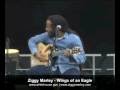 Ziggy Marley | Wings of an Eagle | White House Easter Egg Roll