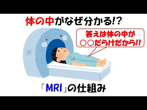 脳MRI(正中線を通る矢状断面)
