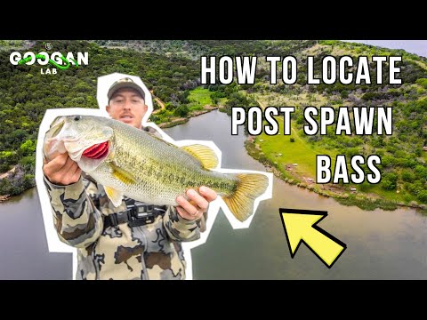 How To LOCATE and CATCH MORE POST SPAWN BASS! ( BASS FISHING TIPS)