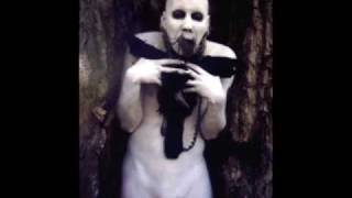Sopor Aeternus &amp; The Ensemble Shadows - Abschied