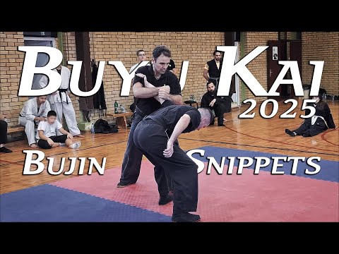 Bujin snippets from Buyu-Kai 2025 seminar in Novi Bečej