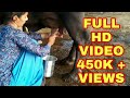 Fastest Buffalo Milking Dairyfarm Business Gujarat Village Life Vlogs
