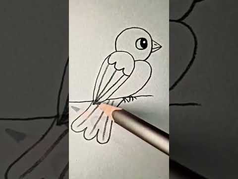 Comment dessiner un oiseau rapidement