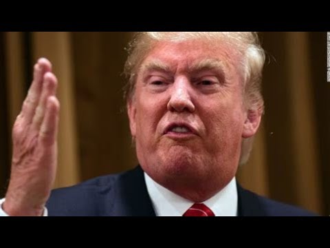 La Minute Web M6 du 26/01/2018 - Trump et Vangog  etc...