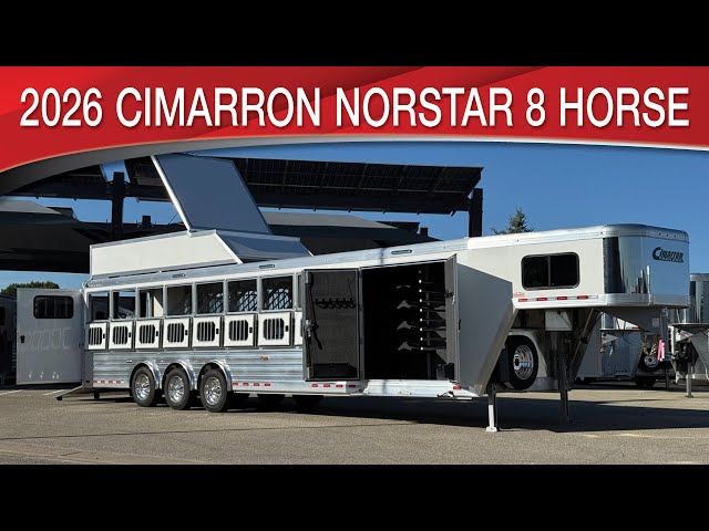 Preview image of the linked video