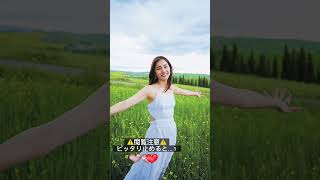 #ピッタリとめて #新木優子 #shorts