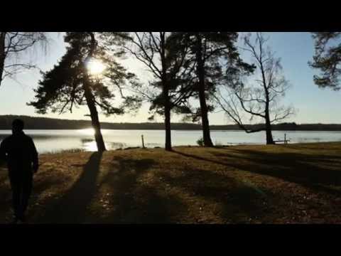 The nature of Örkelljunga